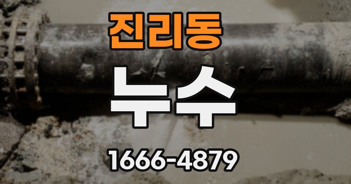 진리동 누수