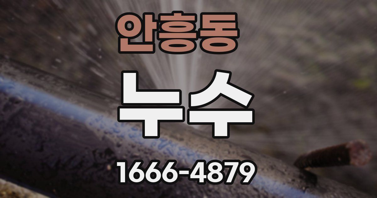 안흥동 누수