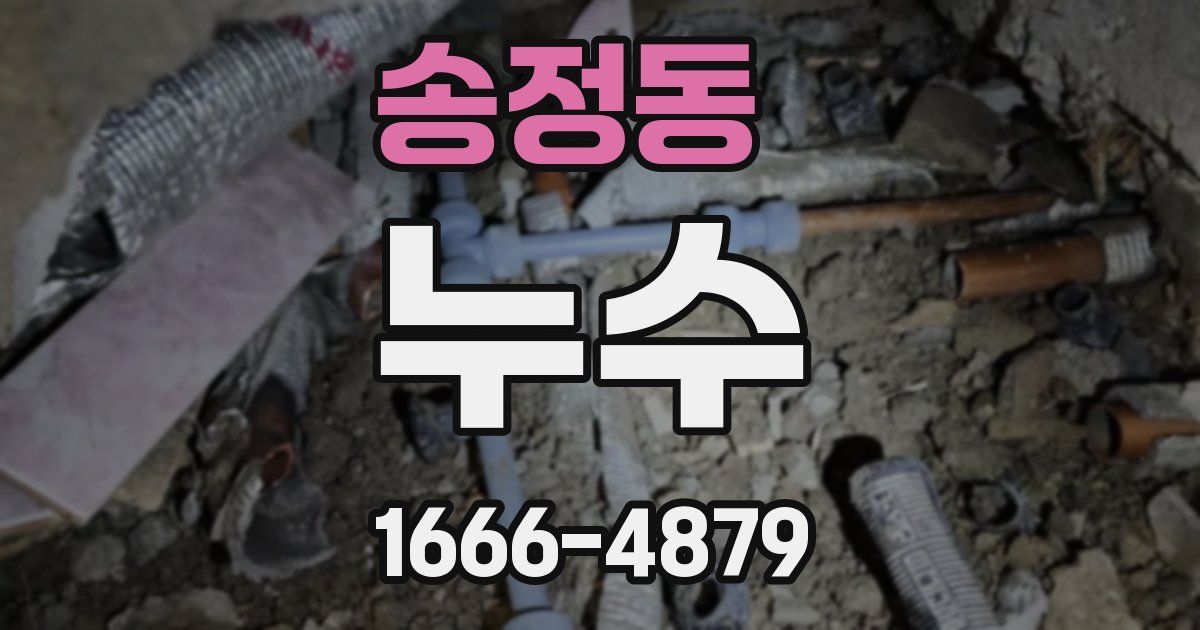송정동 누수