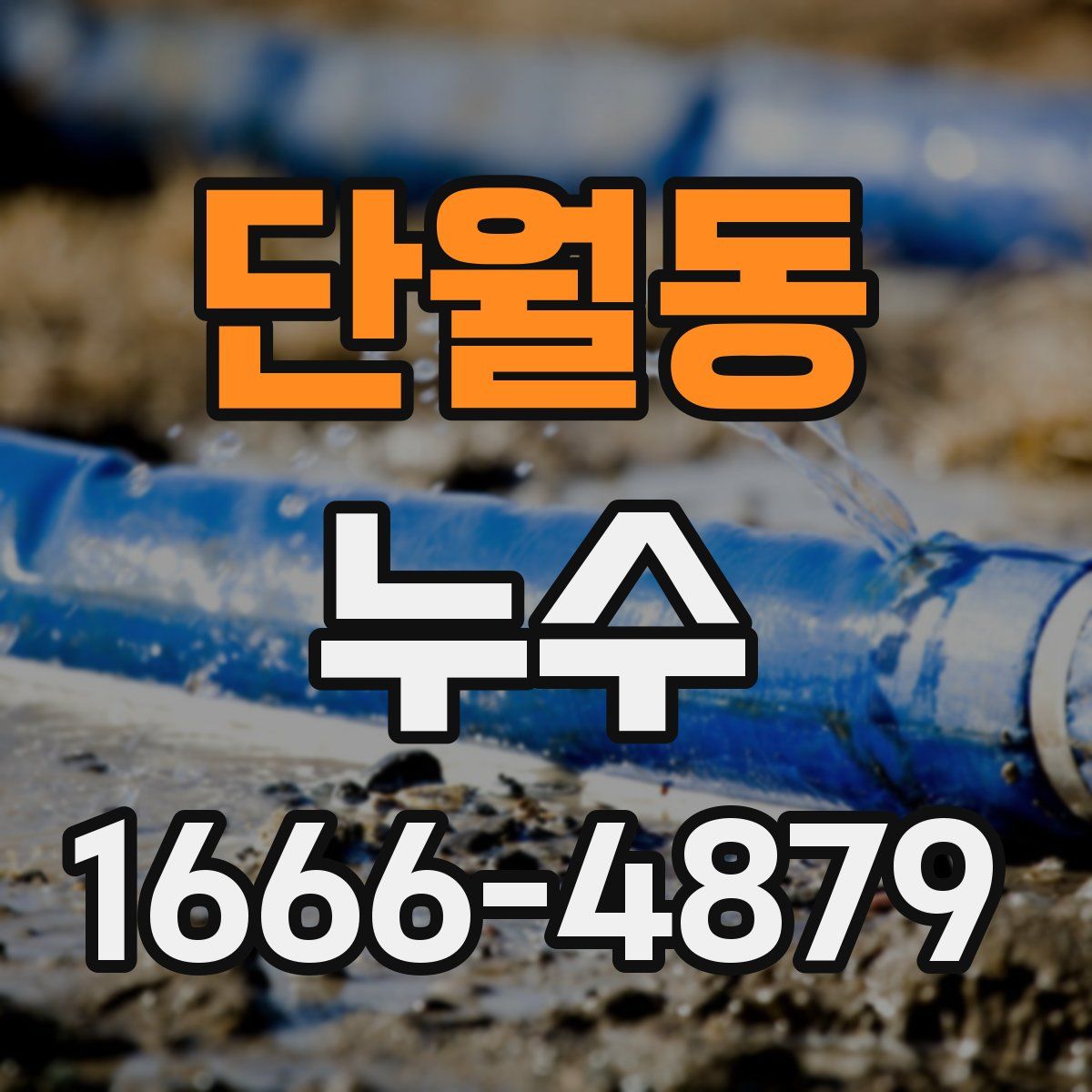 단월동 누수