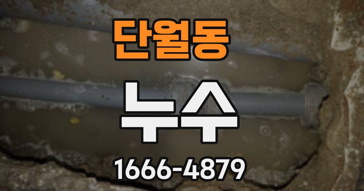단월동 누수