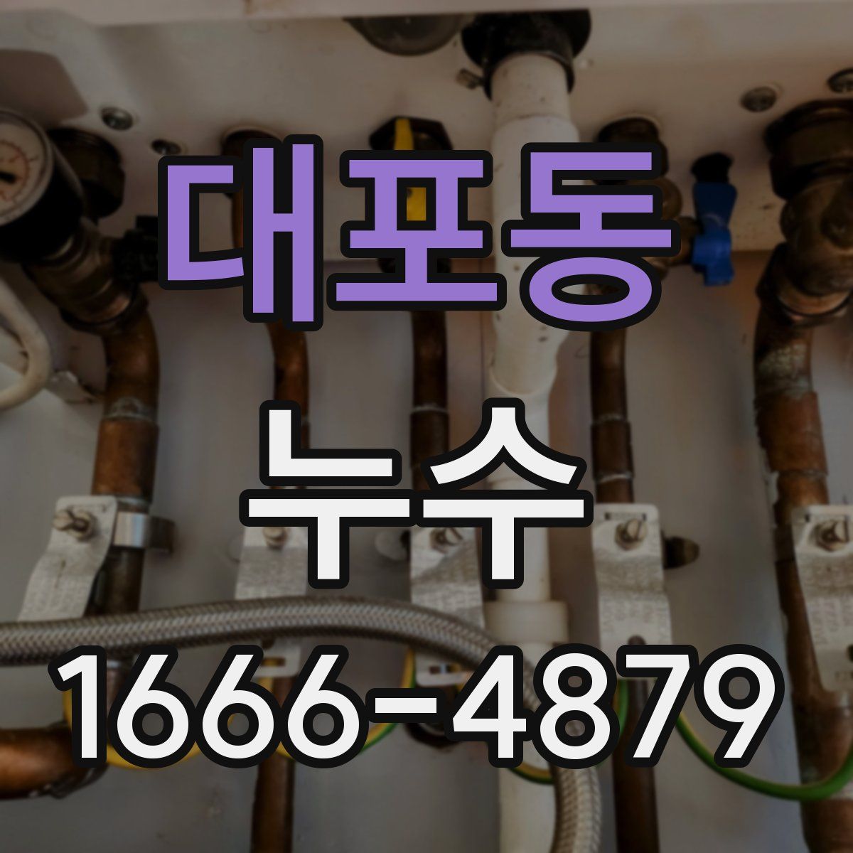 대포동 누수