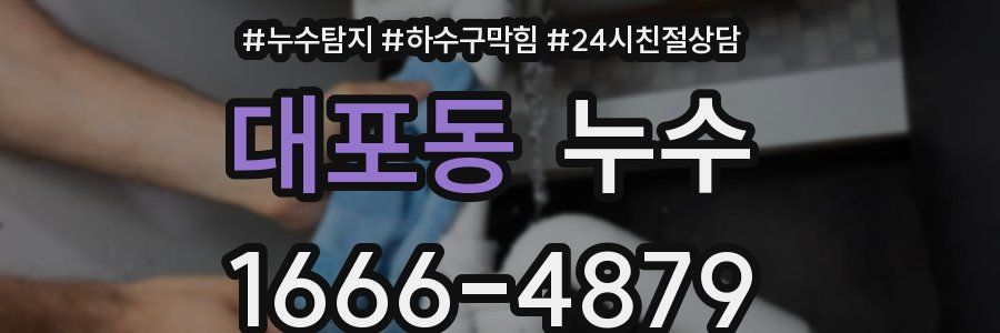 대포동 누수