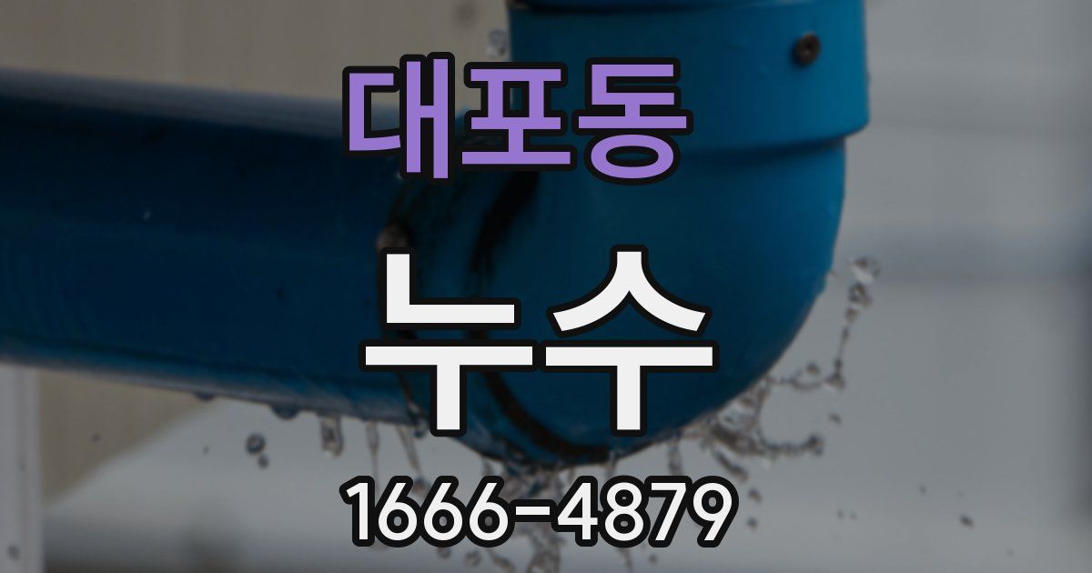 대포동 누수