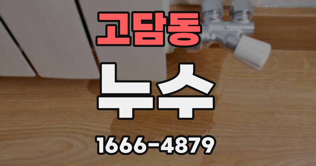 고담동 누수