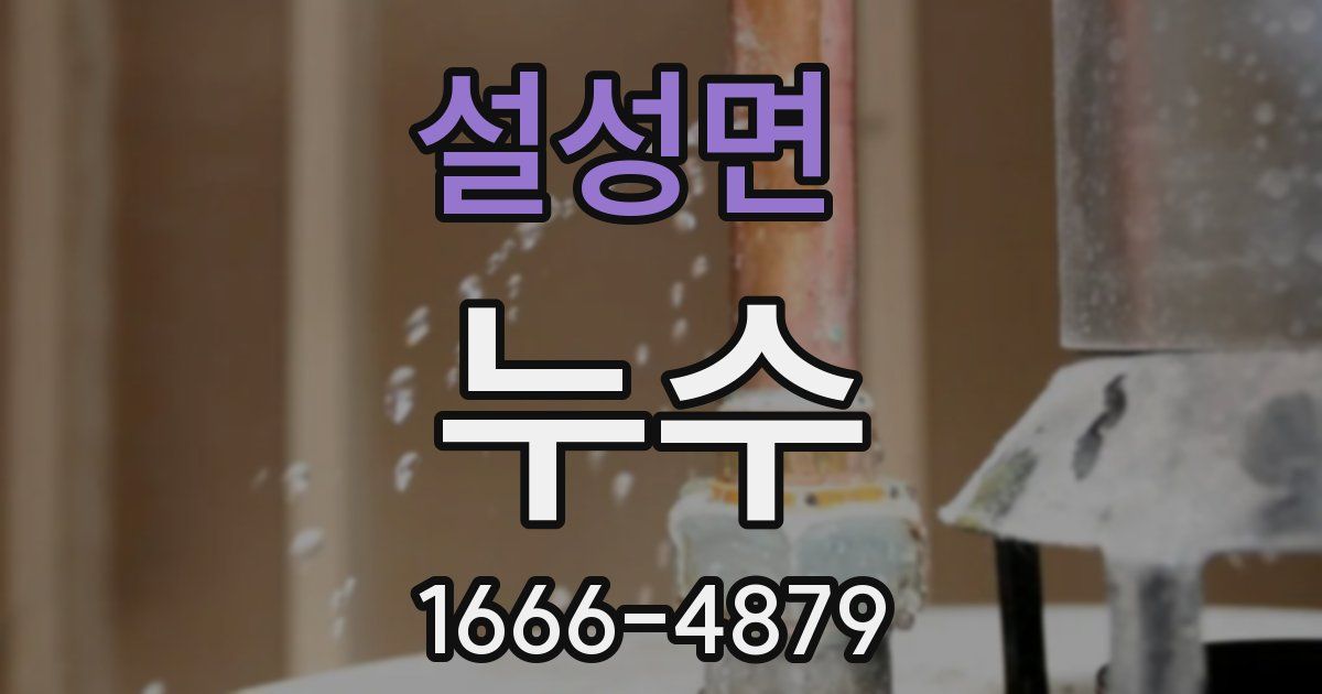 설성면 누수