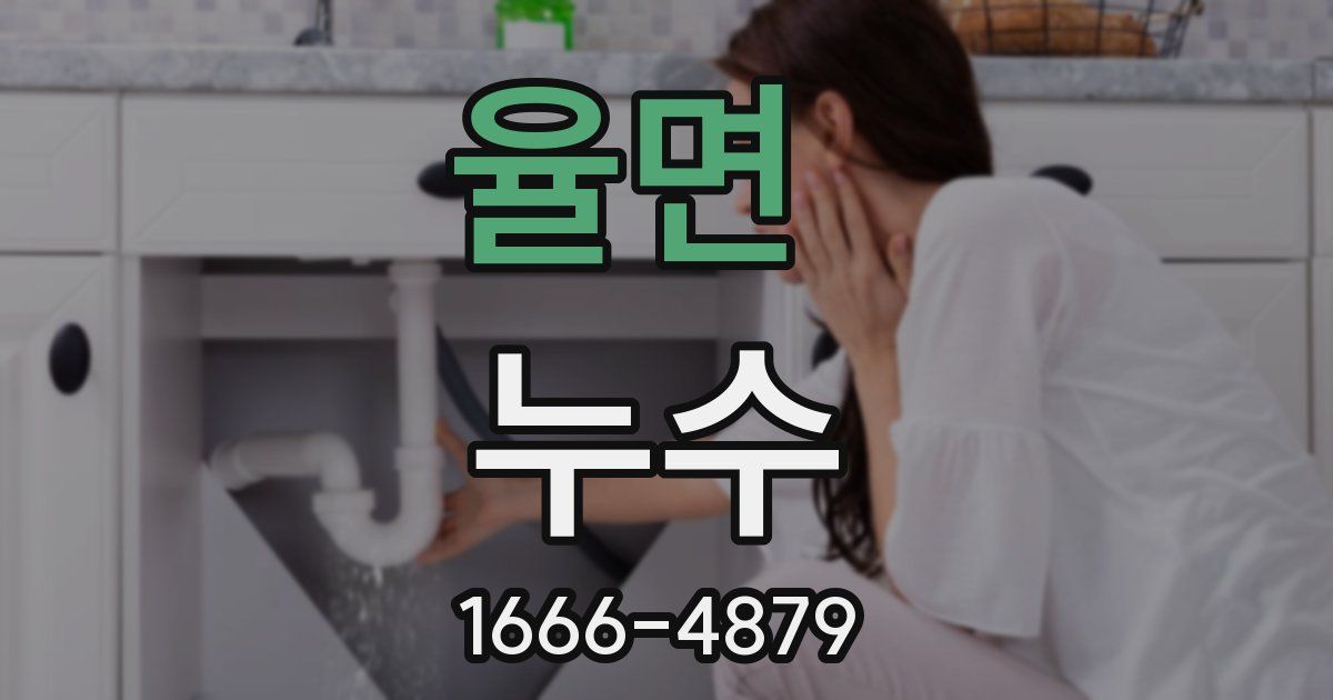 율면 누수