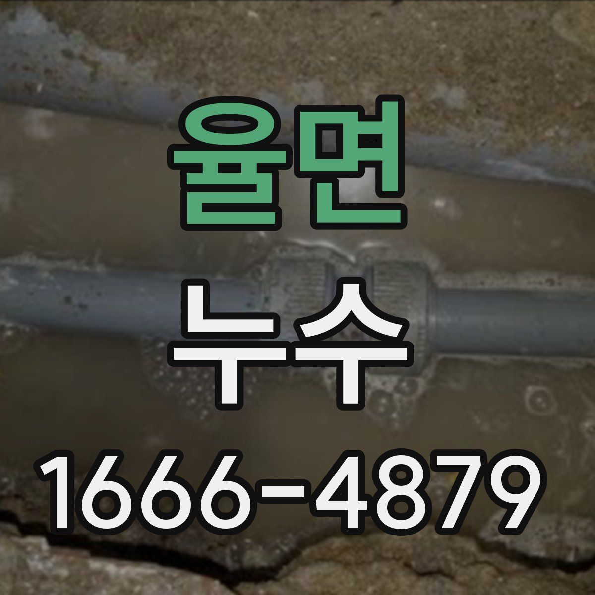 율면 누수