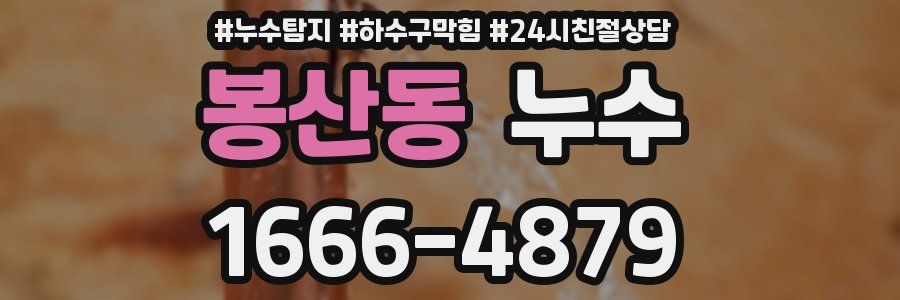 봉산동 누수