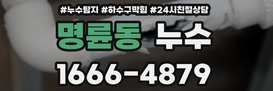 명륜동 누수