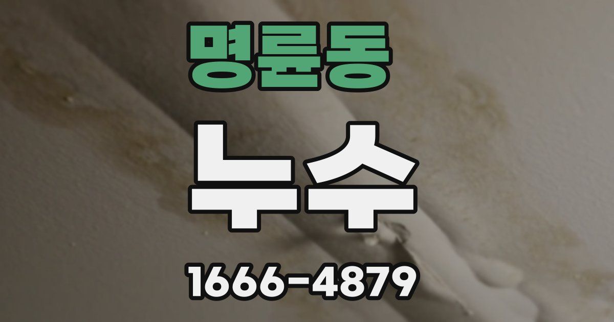 명륜동 누수