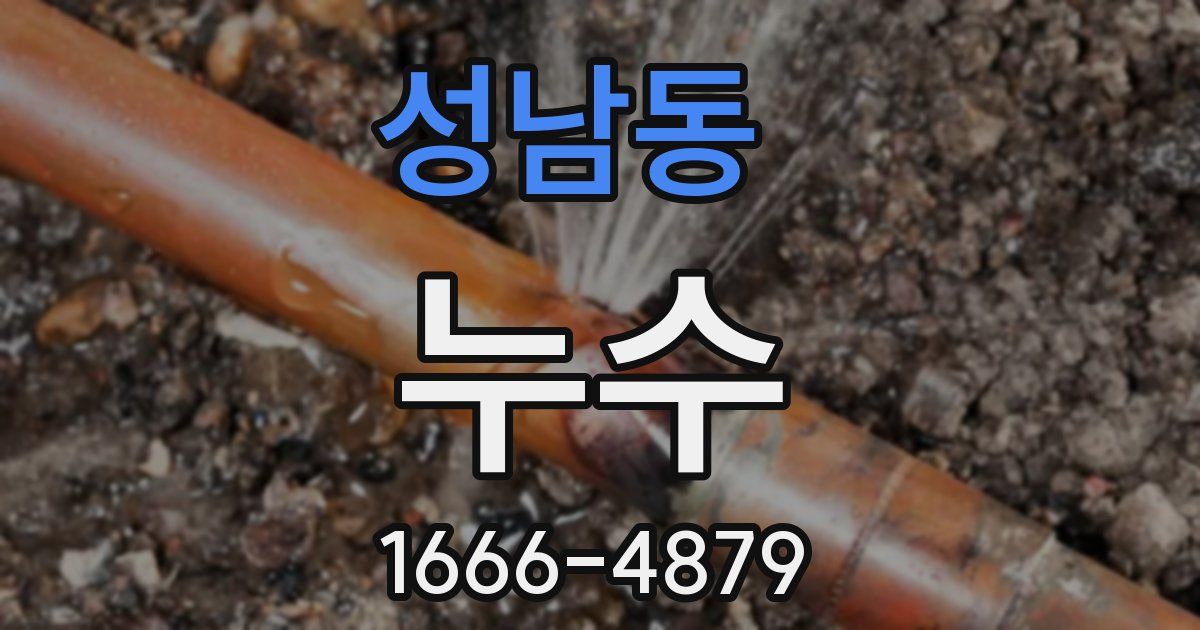 성남동 누수