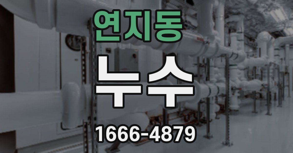 연지동 누수