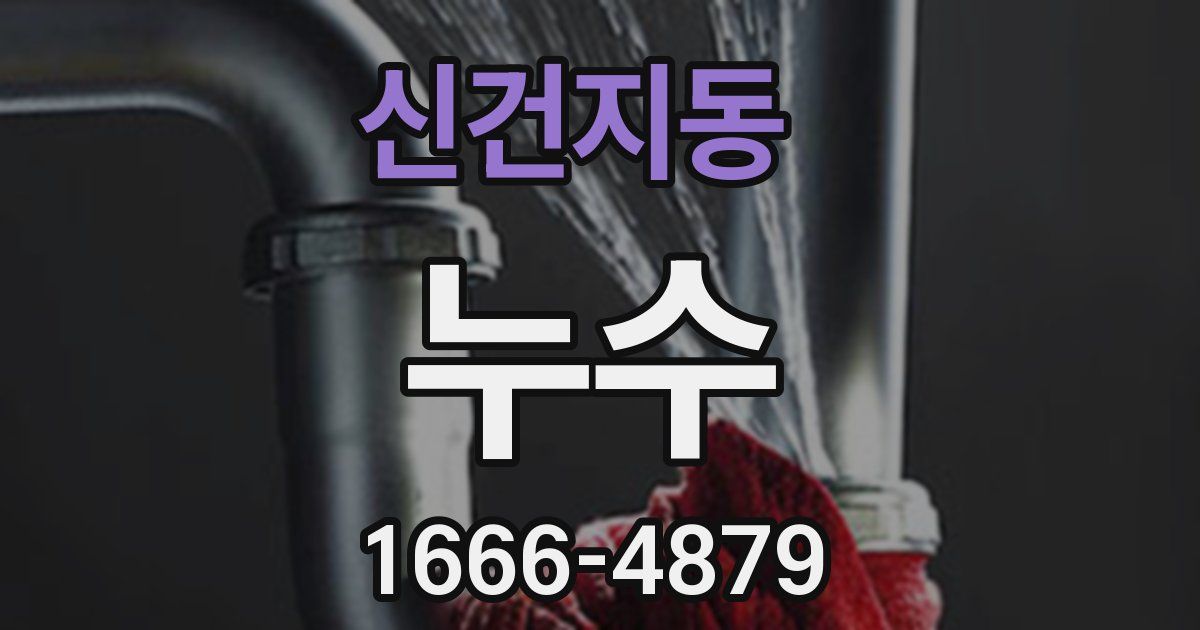 신건지동 누수