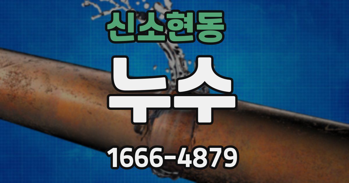 신소현동 누수