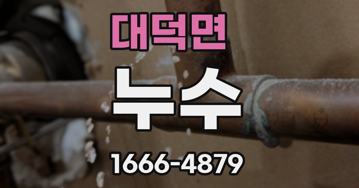 대덕면 누수