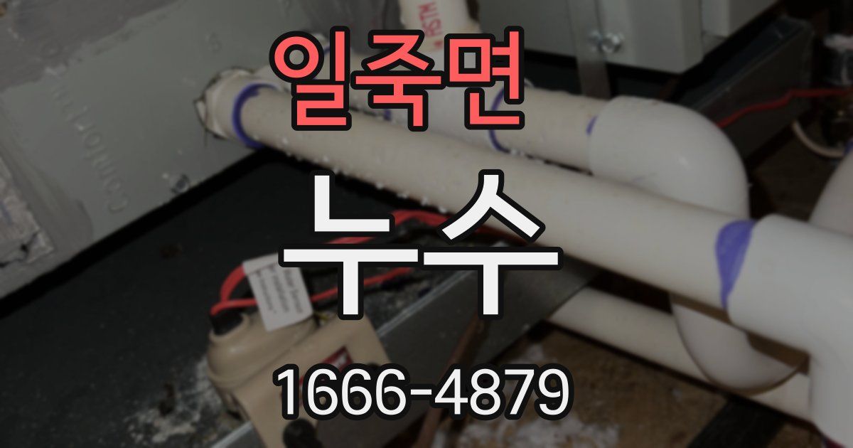일죽면 누수