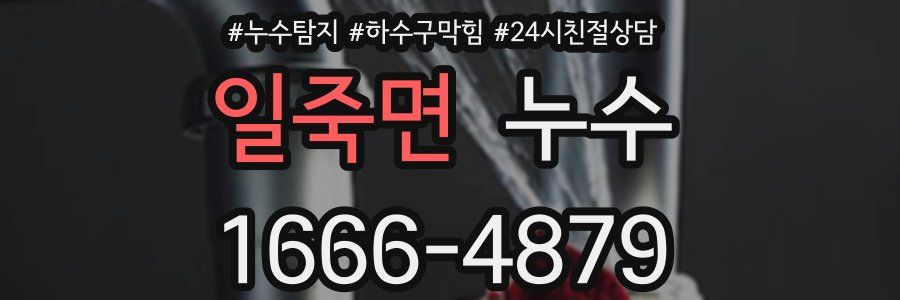 일죽면 누수