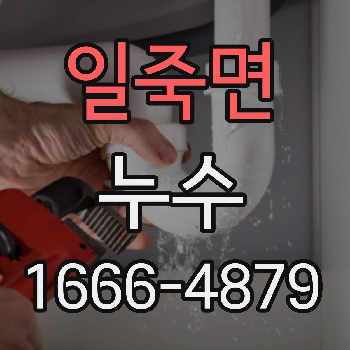일죽면 누수