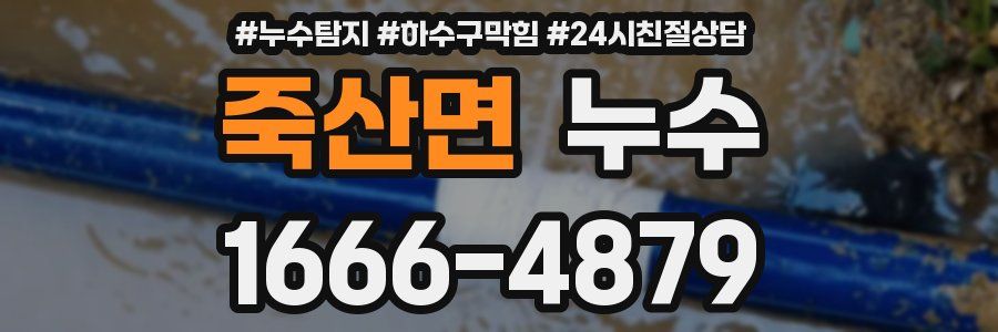 죽산면 누수