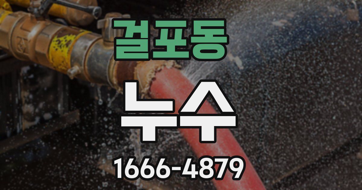 걸포동 누수