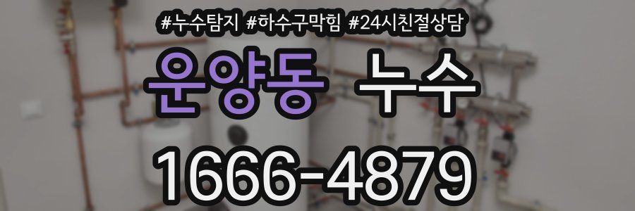 운양동 누수