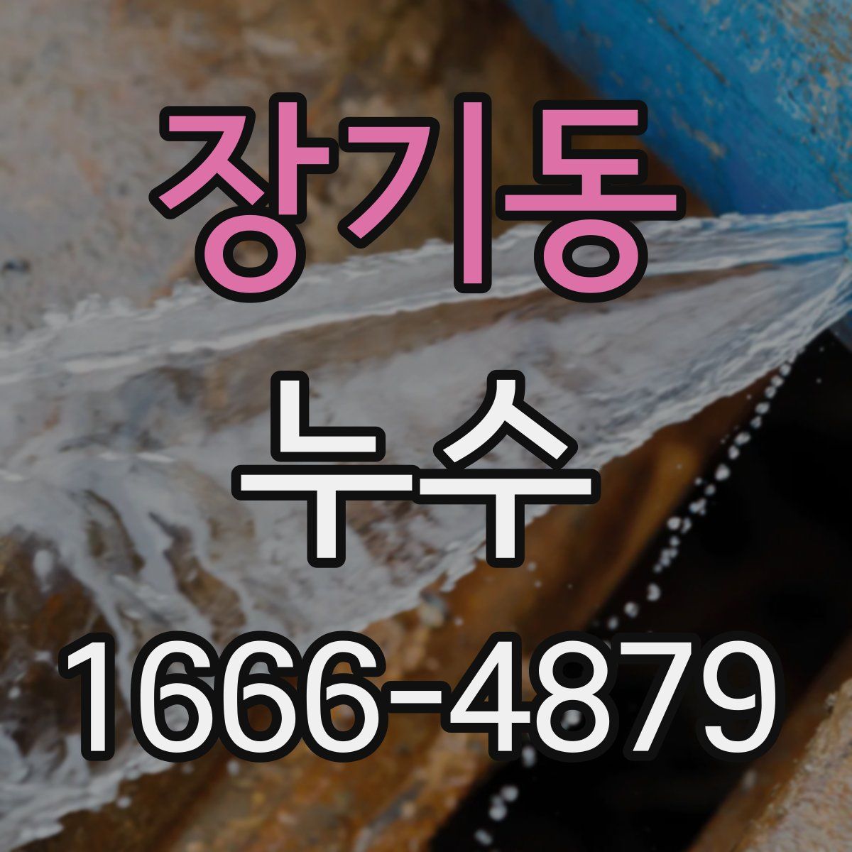 장기동 누수