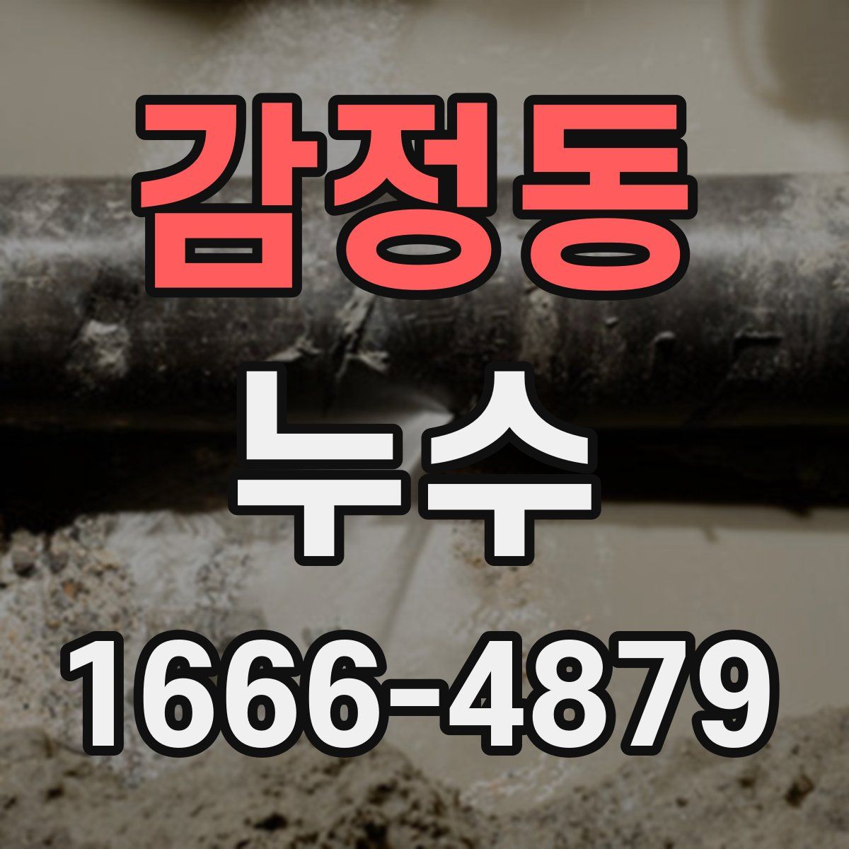 감정동 누수