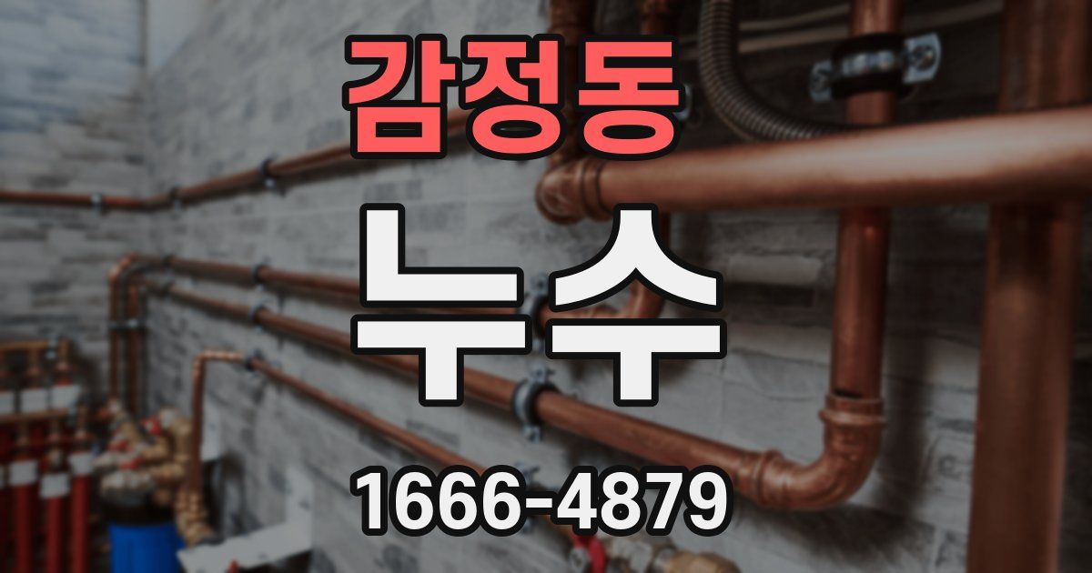 감정동 누수