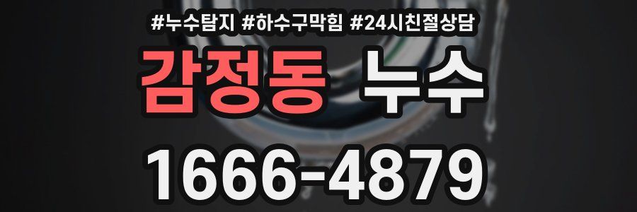 감정동 누수
