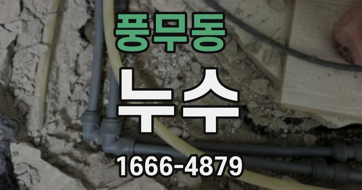 풍무동 누수