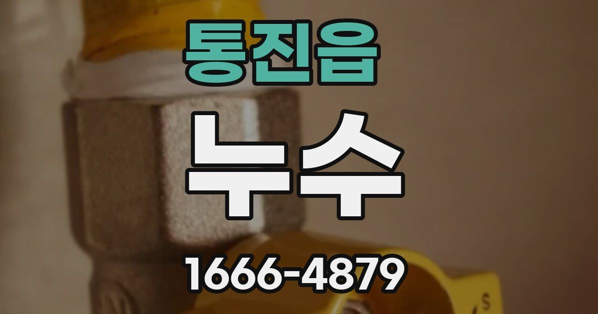 통진읍 누수