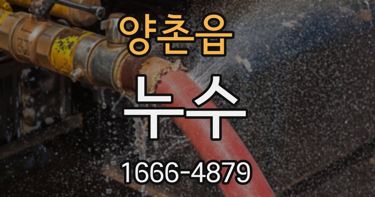 양촌읍 누수