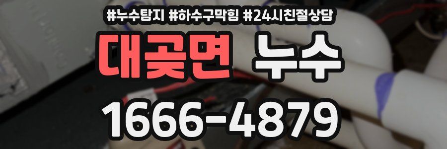 대곶면 누수