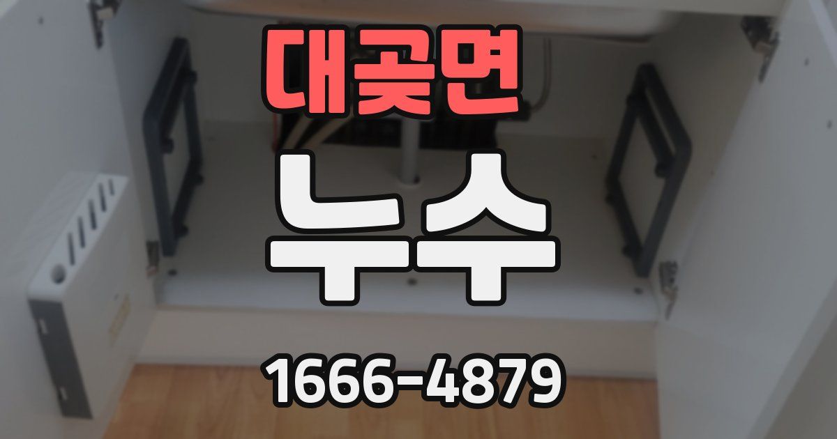 대곶면 누수