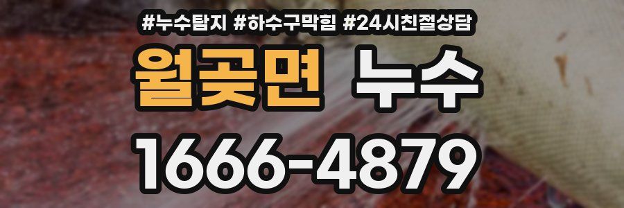 월곶면 누수