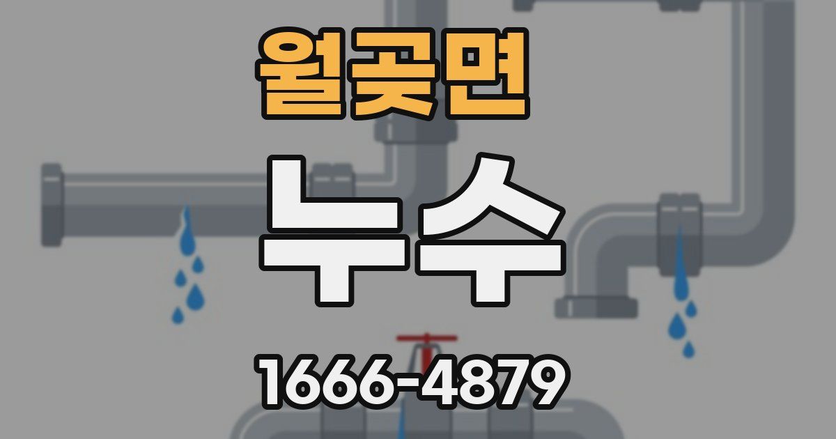 월곶면 누수