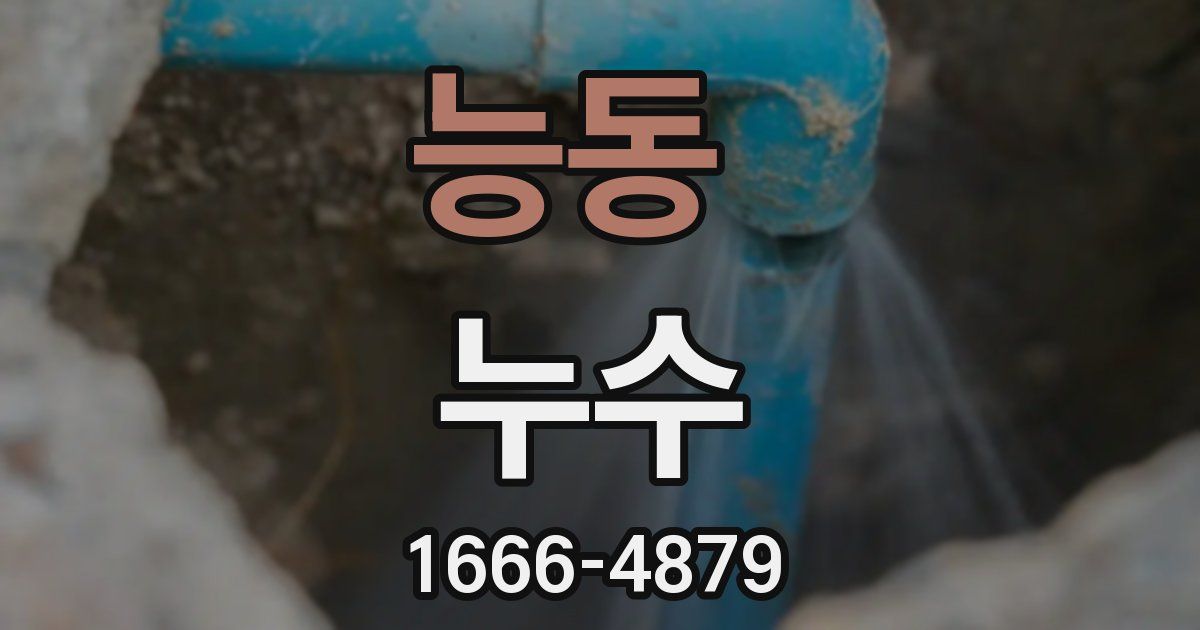 능동 누수