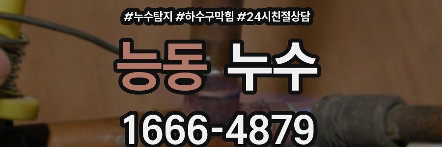 능동 누수