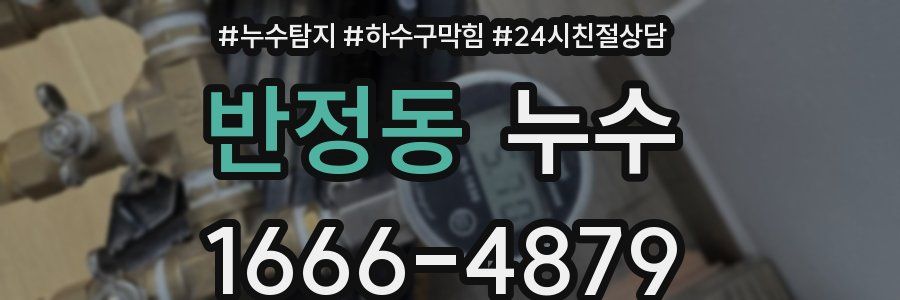 반정동 누수