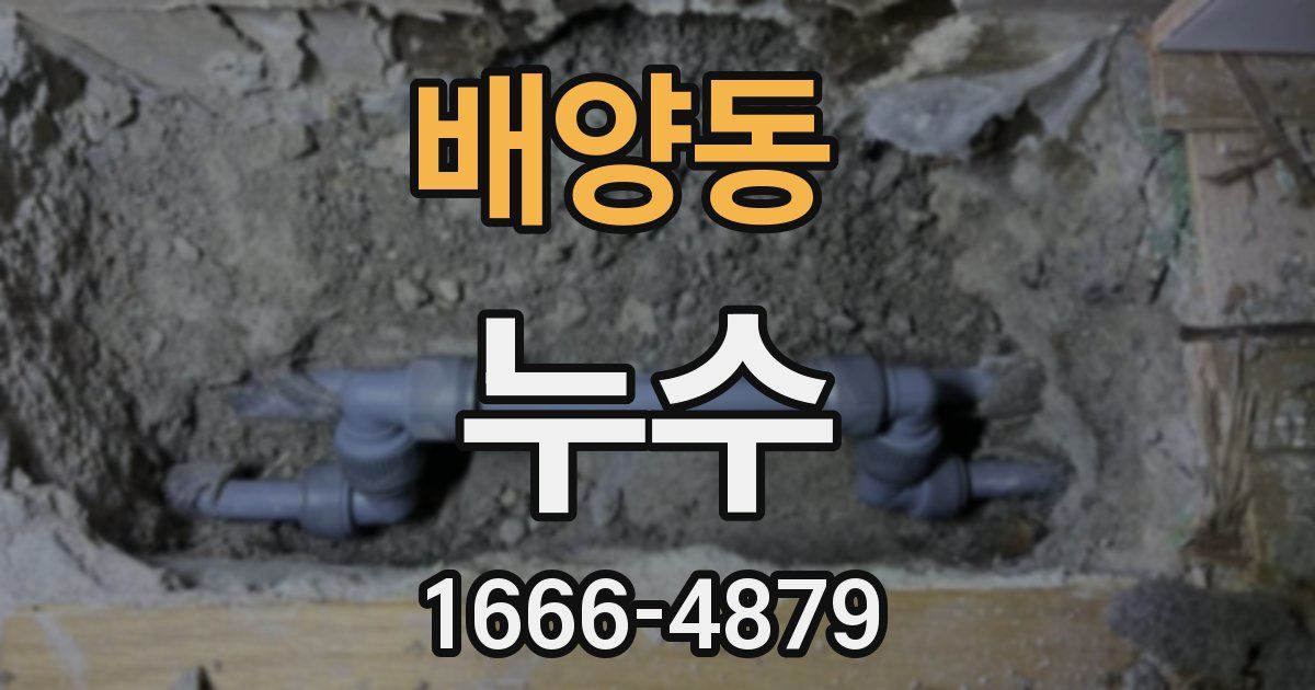배양동 누수