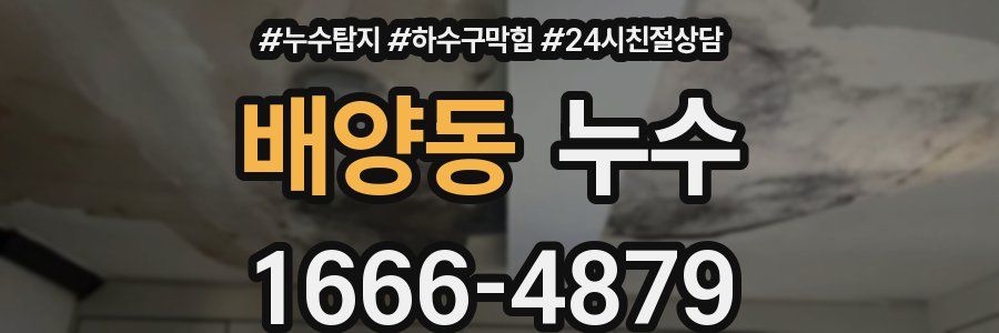 배양동 누수