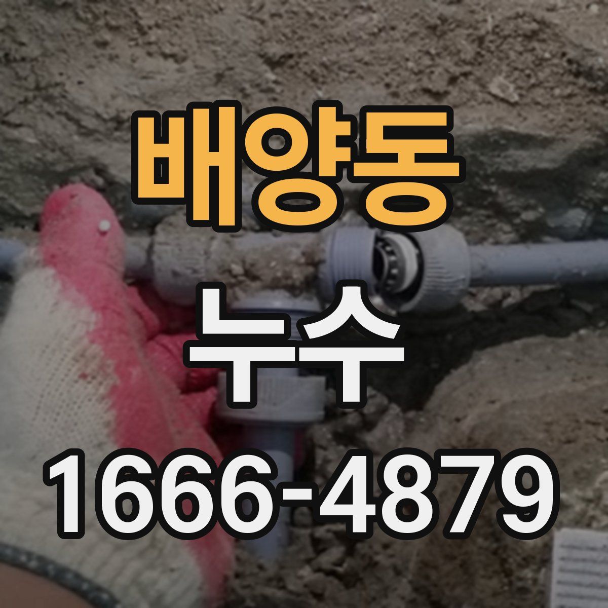 배양동 누수