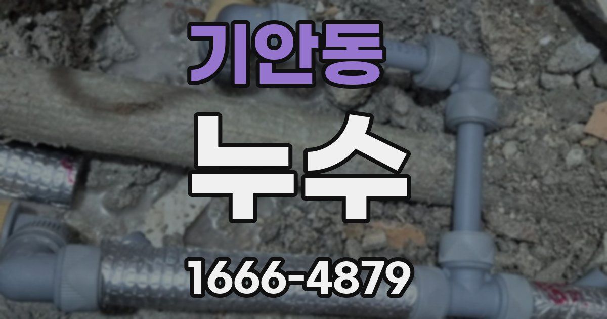 기안동 누수