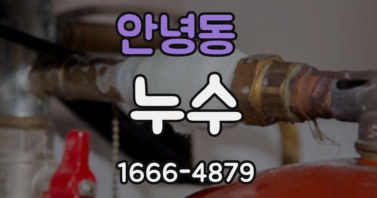 안녕동 누수