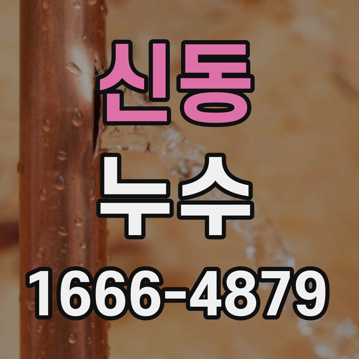 신동 누수