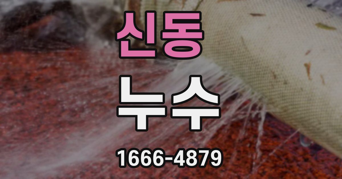 신동 누수