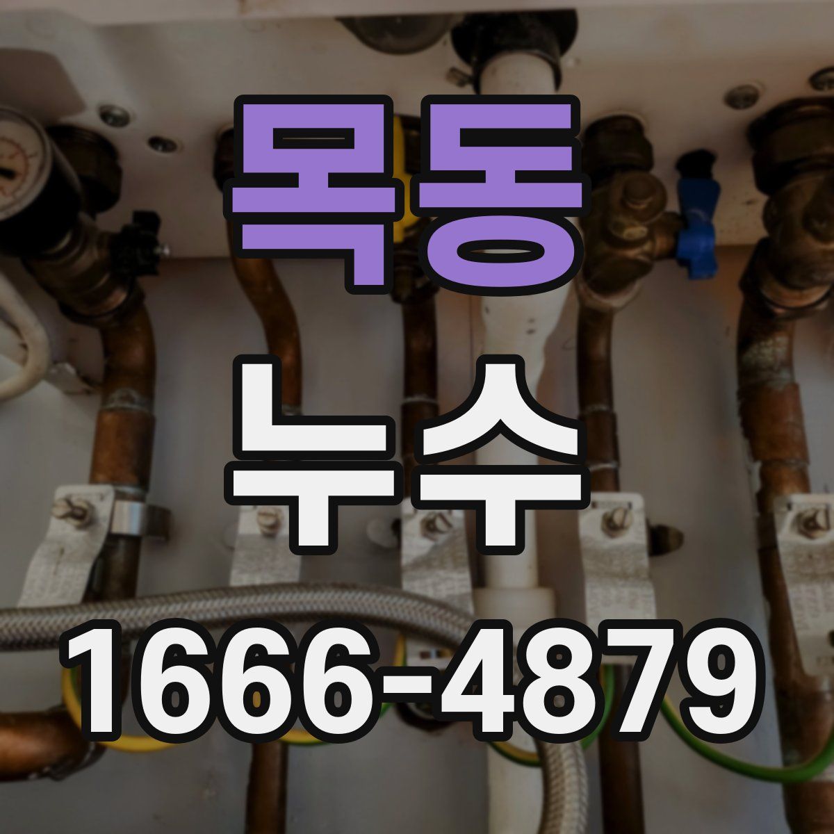 목동 누수