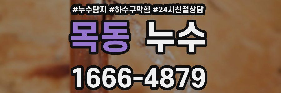 목동 누수