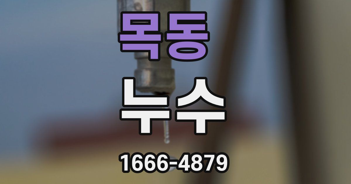 목동 누수